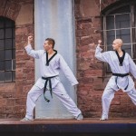 Taekwondo Show
